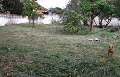 Imagem 5: Fator 477) Lote C/360 Mteros Praia Amendoeira É na Fator