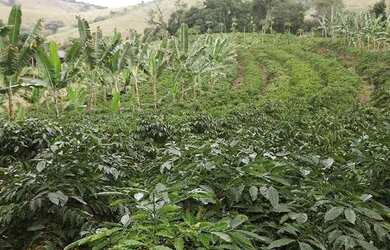 Imagem: A fazenda está localizado em Jaguaré, ES à venda por