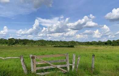 Imagem 3: FAZENDA Á VENDA NO FORMOSO DO ARAGUAIA - TO - 692,12 HEC. DUPLA APTIDÃO