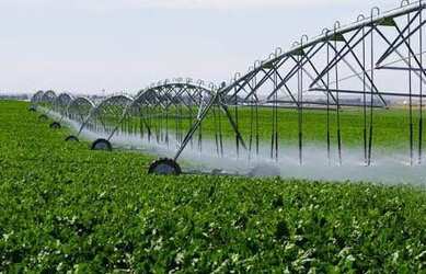 Imagem: A fazenda está localizado em Ipameri, GO à venda por