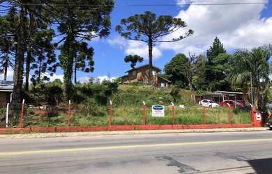 Imagem 1: CAXIAS DO SUL - Terreno Padrão - Sagrada Familia