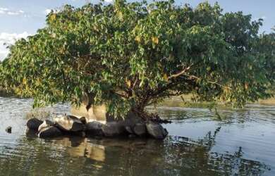 Imagem: O terreno e está localizado em Parque Vila Verde, Brasília