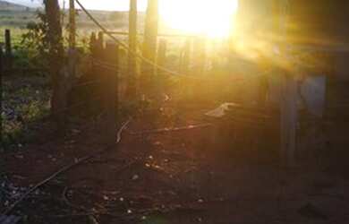 Imagem 6: É Terra Demais Meu Deus Fazenda à Venda no Sul Do Pará - 950 alqueirões