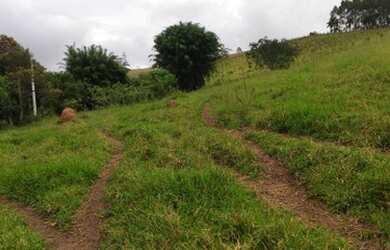 Imagem 3: Sítiopara venda possui 29000 metros quadrados em Lagoa Nova - Guararema...