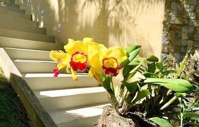 Imagem 14: Sobrado á venda 5 Suítes Condomínio Atibaia - São