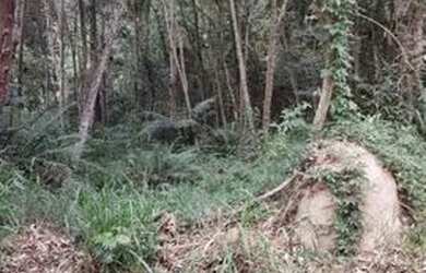 Imagem 6: Terreno em Condomínio para Venda em Jundiaí, Loteamento Capital Ville