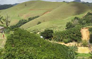 Imagem 2: MIMOSO COM 7 MIL PÉS DE CAFÉ COM CASA ENERGIA E MUITA ÁGUA