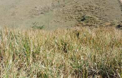 Imagem 9: Vende se um terreno no pouso alegre