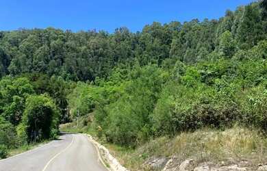 Imagem: A fazenda possui 70.000m² de Área e está localizado em Gramado
