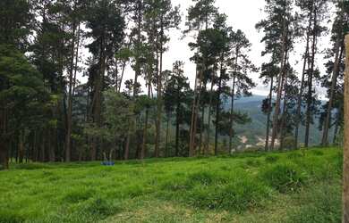 Imagem 4: Terreno 115000 metros quadrados em Olho D'Água - Mairiporã - SP