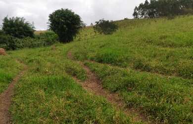 Imagem 2: Sítiopara venda possui 29000 metros quadrados em Lagoa Nova - Guararema...