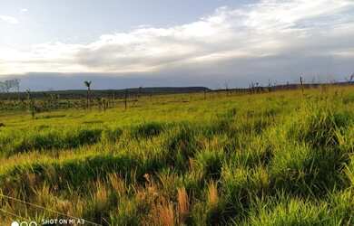 Imagem 13: É Terra Demais Meu Deus Fazenda à Venda no Sul Do Pará - 950 alqueirões