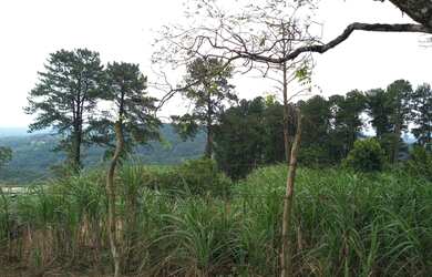 Imagem 7: Terreno 115000 metros quadrados em Olho D'Água - Mairiporã - SP