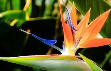 Imagem: A casa possui 5 Dormitórios, 5 Banheiros, 1 Vaga na garagem