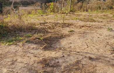 Imagem 3: Lotes. 710m² de Área