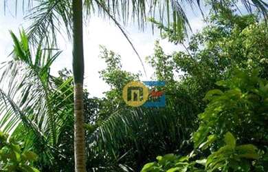 Imagem 4: Sobrado com 3 dormitórios, 213 m² - venda por R$ 897.900,00 ou aluguel por R$ 3.997,00/mês