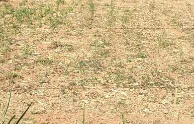 Imagem: O terreno possui 1100m² de Área e está localizado em Sarzedo