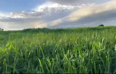 Imagem: A fazenda e está localizado em Plano Diretor Sul, Palmas à