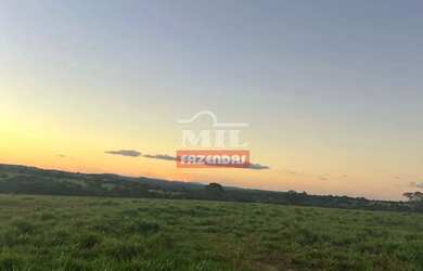 Imagem 16: Fazenda 90 Alqueires 440 Hectares Caiaponia - GO