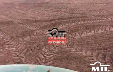 Imagem 7: Fazenda 90 Alqueires 440 Hectares Caiaponia - GO