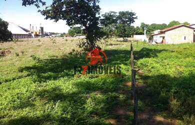 Imagem 8: ÁREA ESTRATÉGICA À VENDA EM PORANGATU - GO 16.000m²