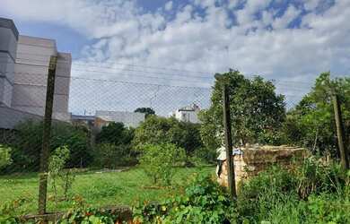 Imagem 3: CAXIAS DO SUL - Terreno Padrão - PIO X