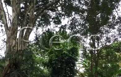 Imagem 4: Terreno à venda em Campinas, Chácara Santa Margarida, com 1830 m²