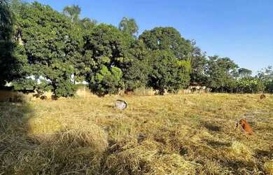 Imagem 11: Chácaras de Recreio São Joaquim - Goiânia - GO 15 mil metros