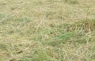 Imagem 7: Terreno de esquina. 180m² de Área