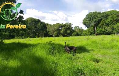 Imagem: A fazenda possui 415m² de Área e está localizado em Formoso