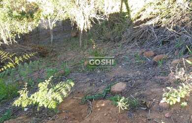 Imagem 7: Terreno à venda, 318 m² por R$ 250.000 - Albuquerque - Teresópolis/RJ