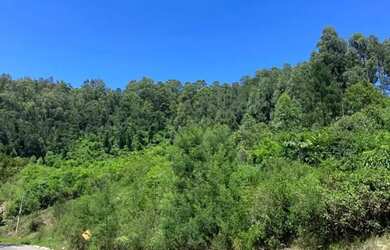 Imagem 4: Sitio - Bairro Linha Ávila