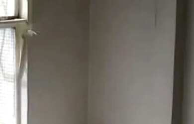 Imagem 3: Conjunto Comercial com 3 Salas 1 Vaga em Higienópolis