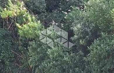 Imagem 6: Terreno com 517,04 m2 em área nobre na serra gaúcha por R$ 540.600,00