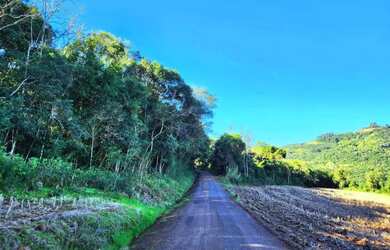 Imagem 7: Sítio / Chácara para Venda em Nova Petrópolis, Pinhal Alto
