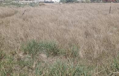 Imagem 1: Terreno em Nova Sepetiba