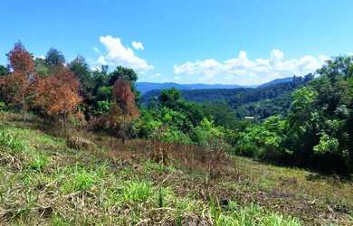 Imagem 2: Sítio / Chácara para Venda em Nova Petrópolis, Stille Eck