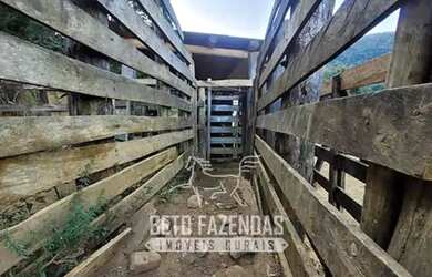 Imagem 14: Imóvel para venda tem 6195200 metros quadrados em Area Rural de Laje...