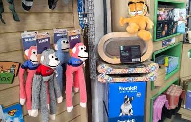 Imagem 15: Passo loja completa Pet Shop / Banho e tosa ou somente o ponto