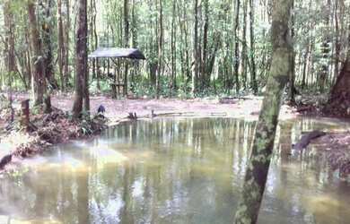 Imagem: O terreno possui 1000m² de Área e está localizado em Vigia