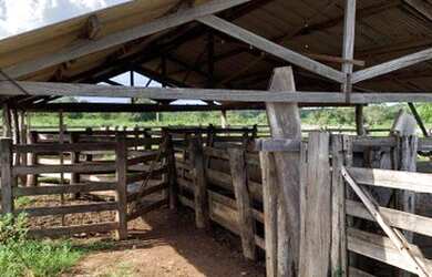 Imagem 4: FAZENDA Á VENDA NO FORMOSO DO ARAGUAIA - TO - 692,12 HEC. DUPLA APTIDÃO