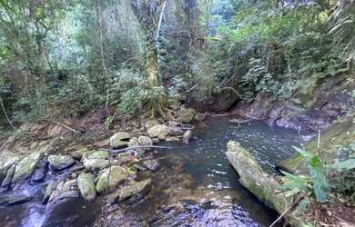 Imagem 7: Terreno à venda, 814 m² por R$ 890.000 - Siriúba I - Ilhabela/SP