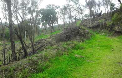 Imagem: A chácara possui 20438m² de Área e está localizado em Pinhão