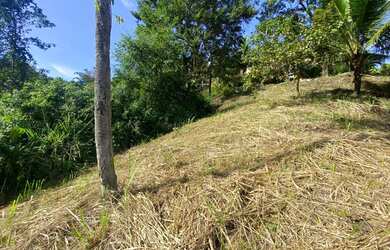 Imagem 6: Terreno à venda, 814 m² por R$ 890.000 - Siriúba I - Ilhabela/SP