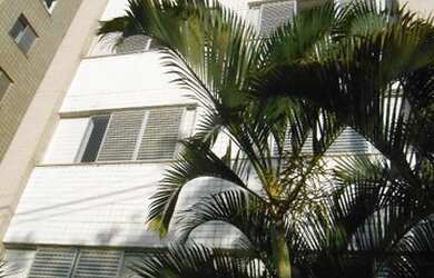 Imagem 10: Apartamento à venda, 3 quartos, 1 suíte, 2 vagas, Buritis - Belo Horizonte/MG