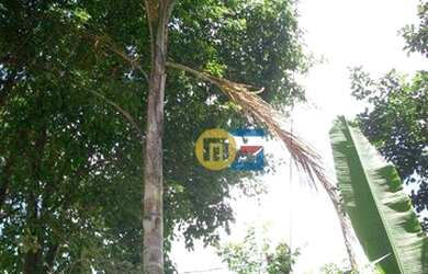 Imagem 8: Sobrado com 3 dormitórios, 213 m² - venda por R$ 897.900,00 ou aluguel por R$ 3.997,00/mês