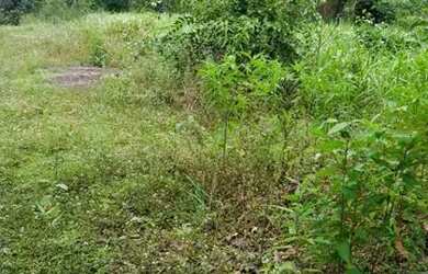 Imagem 2: Vende-se terreno. 500.000m² de Área