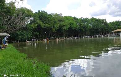 Imagem 1: Pesque pague em Guapó