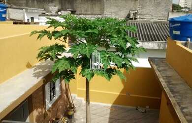 Imagem: A casa possui 5 Dormitórios, 5 Banheiros, 2 Vagas na garagem