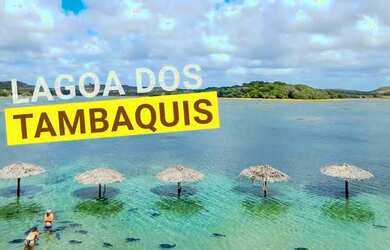 Imagem: A casa possui 3 Dormitórios e 5 Vagas na garagem e está localizado